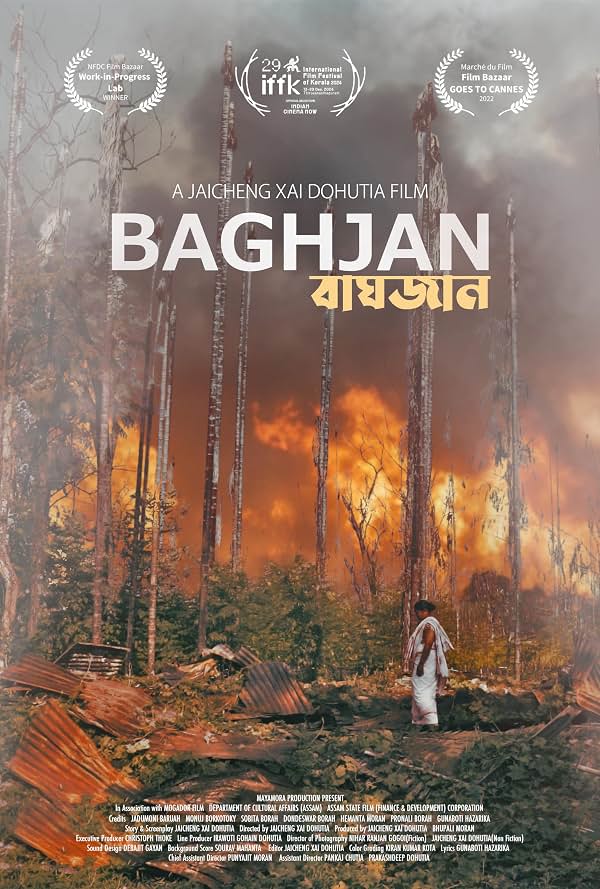 Baghjan poster
